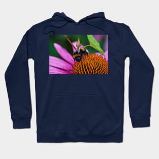 Bumble bee Hoodie